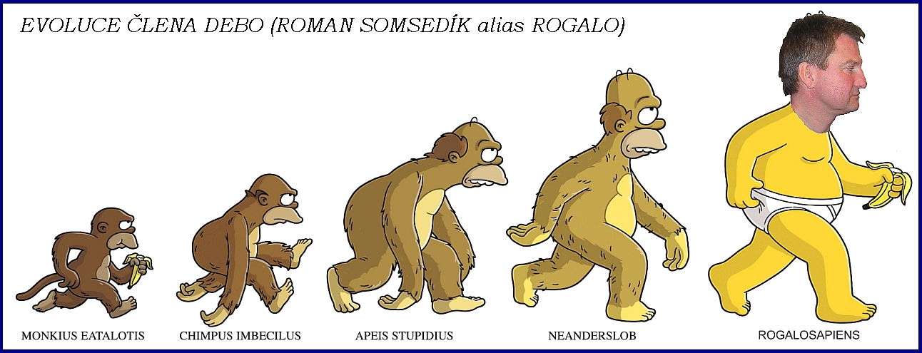 Evoluce Rogalo